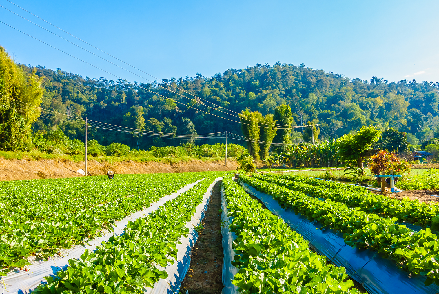 補助申請示意圖